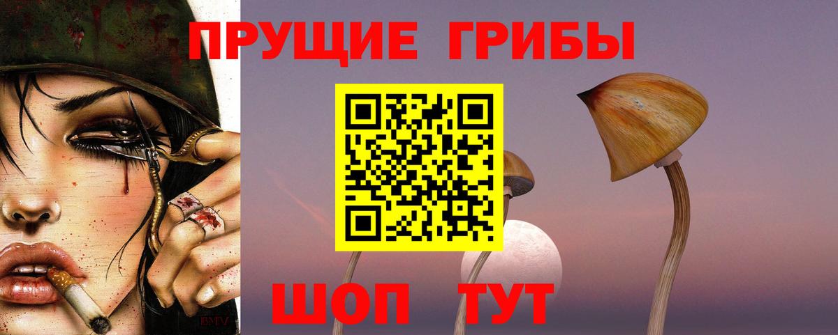 Псилоцибиновые грибы Cubensis  Псилоцибиновые грибы ЛСД  Вход с VPN  Димитровград 